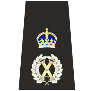 Assistant Commissioner (Metropolitan)