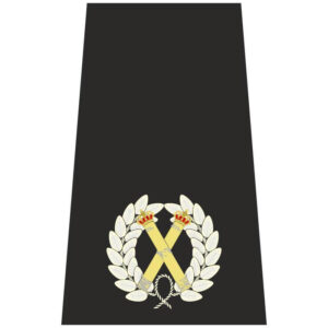 Assistant chief constable