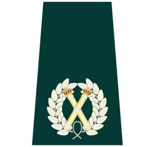 Assistant chief constable (Northern Ireland)