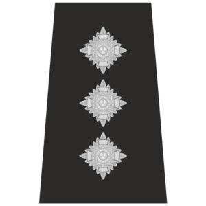 Chief inspector
