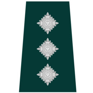 Chief inspector (Northern Ireland)