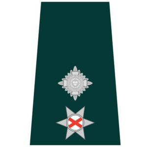 Chief superintendent (Northern Ireland)