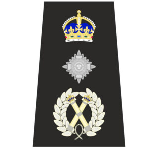 Commissioner (Metropolitan)