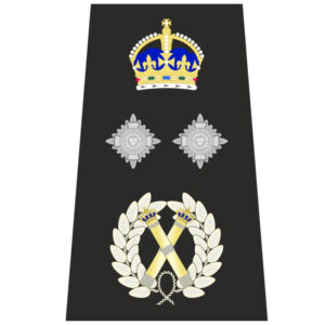 Deputy Commissioner (Metropolitan)