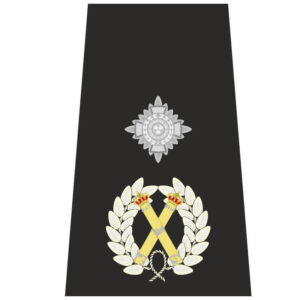 Deputy chief constable
