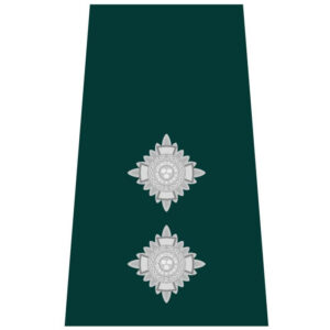 Inspector (Northern Ireland)