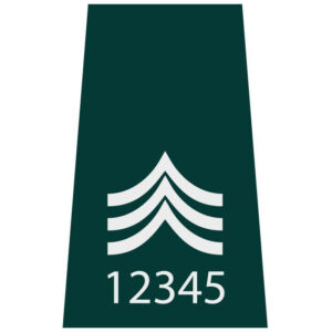 Sergeant (Northern Ireland)