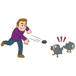 Stone The Crows or Kill two birds with one stone