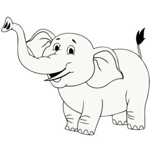 White Elephant