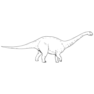 Apatosaur