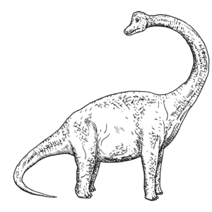 Brachiosaurus