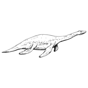 Plesiosaurus