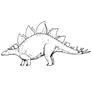 Stegosaurus