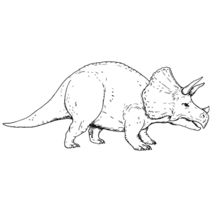 Triceratops