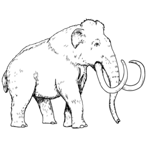 Woolly Mammoth