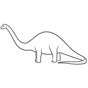 diplodocus (sauropoda)