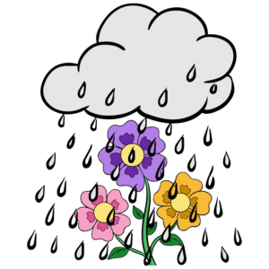Flowers in the Rain (1967 song by The Move)