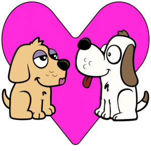 Puppy Love (1972 Song by Donny Osmond)