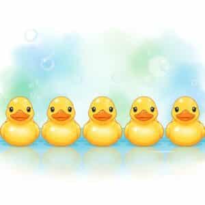 get your ducks in a row