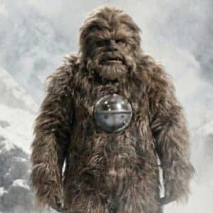 The Yetti