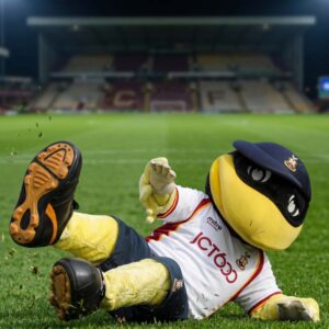 Deepdale Duck, Preston North End F.C.