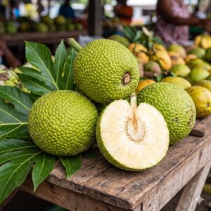 Breadfruit