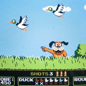 Duck Hunt