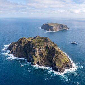 Gough and Inaccessible Islands
