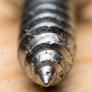 Screw
