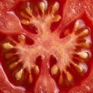 Tomato