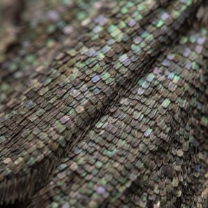 A Moth's Wing