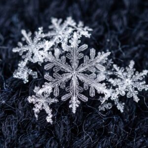 Snowflakes